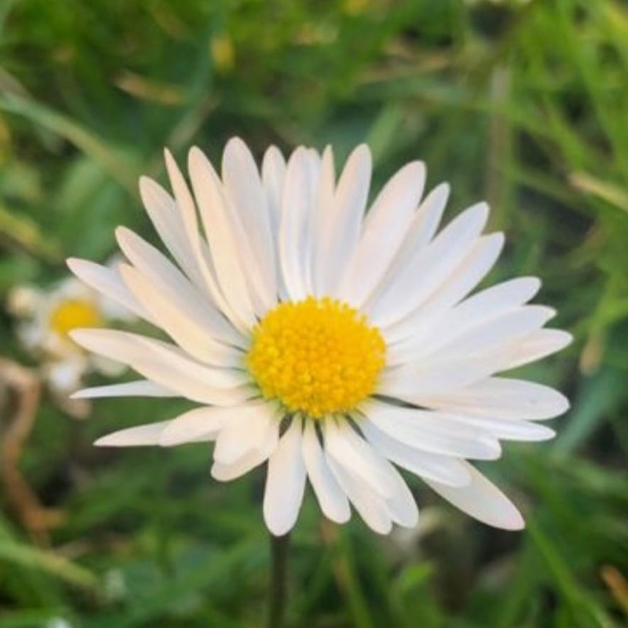 Benutzerbild